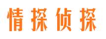 广西市调查公司